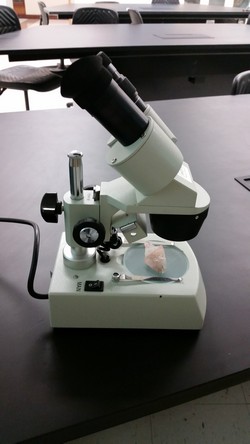 Microscope with Mineral